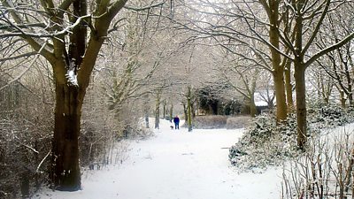 Dog Walking (Photo: Ron Saunders)