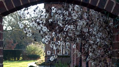 Photo courtesy of Commonwork