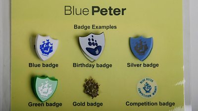 Blue Peter Badge examples - all with the ship logo on. On the board are the regular blue badge, a birthday badge, a silver badge, a green badge, a gold badge and a round Competition badge. 