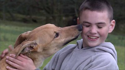 A boy is licked by a greyhound