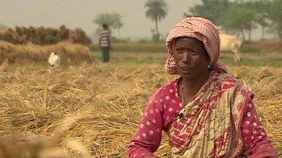 Indian farm labourer