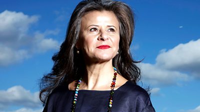 Tracey Ullman's Show on 鶹Լ One