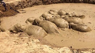 Mud Hole »