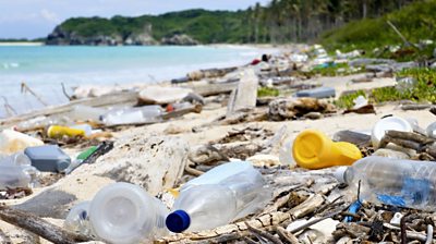 Rubbish on tropical beach