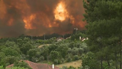 A wildfire rages in central Portugal affecting houses and a wooded area.