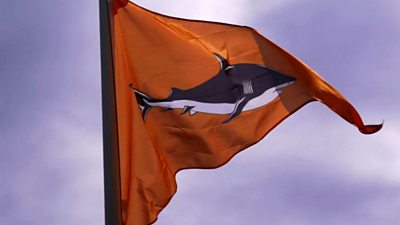 Shark flag