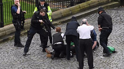 Westminster attack arrest