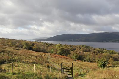 The gorgeous surroundings for the residential