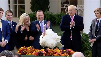 Trump and others clap after pardoning a turkey