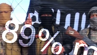 Islamic State propaganda