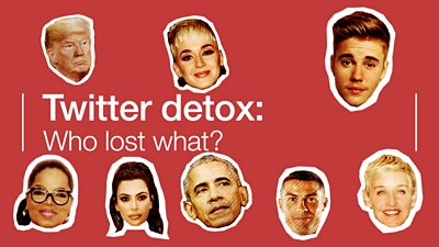 Twitter followers detox