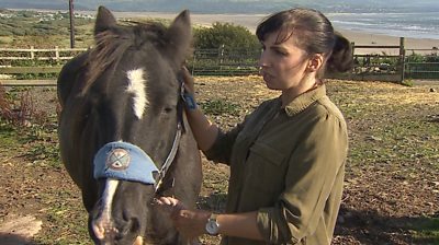 Lindsey Crosbie is the equine trainer for the horse therapy sessions