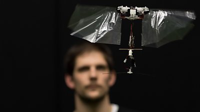 Matej Karasek looks at a flying robotic insect called a DelFly