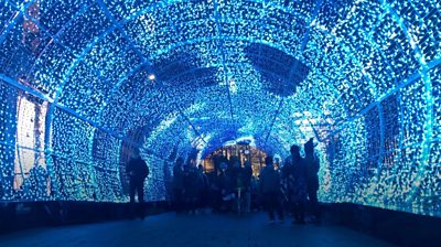 Norwich tunnel of light