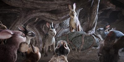 Hazel prepares the rabbits for battle against Woundwort’s army