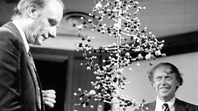 Two men look at a complex DNA model 