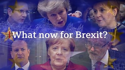 What now for Brexit?