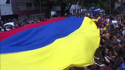 Flag of Venezuela carried by protesters.