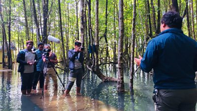 A film crew films a man speaking to their camera, all while standing in shallow water among trees.