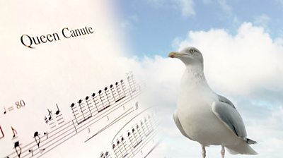 The sheet music and a seagull