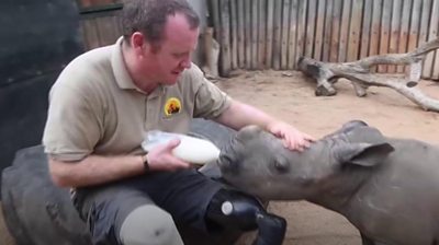 Former soldier feeds rhino