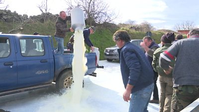 Farmers pour containers of milk into the road