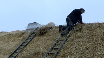 Roof thatcher