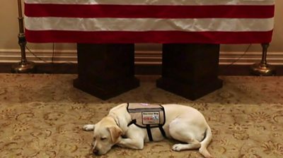 What President Bush's dog Sully did next