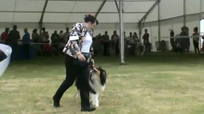 Linda Avery at a dog show