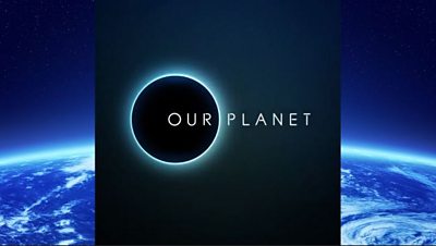 Watch the trailer for David Attenborough's new Netflix series Our ...