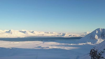 Arctic landscape