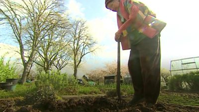 Gardeners have grown vegetables at the site for 120 years.