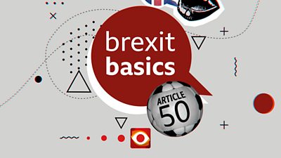Collage with the words Brexit Basics and Article 50