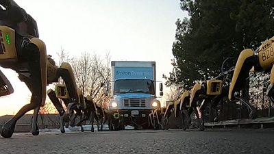 Robot dogs pull a truck