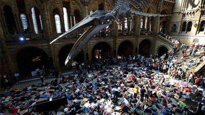 Protesters at Natural History Museum