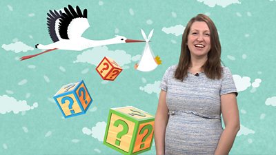 Female presenter in front of a depiction of a stork carrying a baby and alphabet blocks