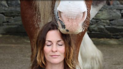 Cumbrian farm launches horse meditation sessions