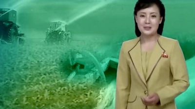 North Korean state TV presenter