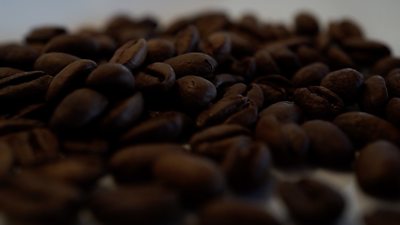 Elida Geisha coffee beans