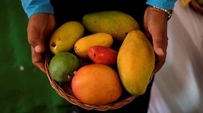 Mangoes in a basket