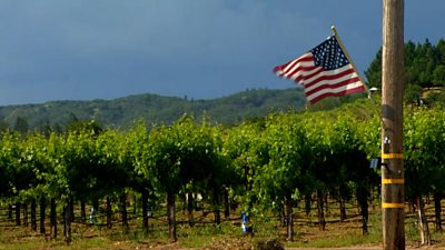 US flag over wine country