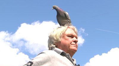Terry Davis and Stevie the pigeon