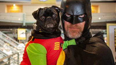 The PAWmicon event saw pet owners in San Diego get creative with costumes for themselves and their pets.