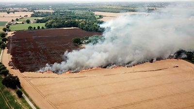 Strong winds caused the blaze to spread but crews manage to save a woodland.