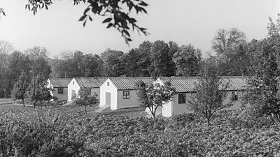 Huts erected at ˿ Wood Norton