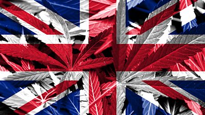 Cannabis leaves on a Union Flag