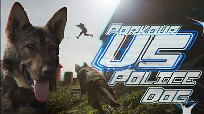 Pro parkour athlete Joe Scandrett tries his chances in a race against Kelly the police dog