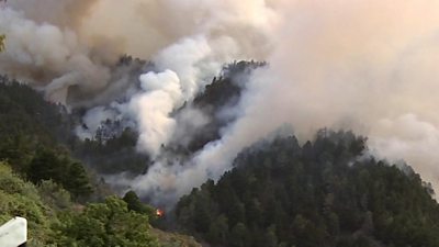 Fires destroy areas of woodland in Gran Canaria