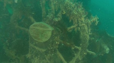 Franklin Expedition: New footage of wreck of HMS Terror