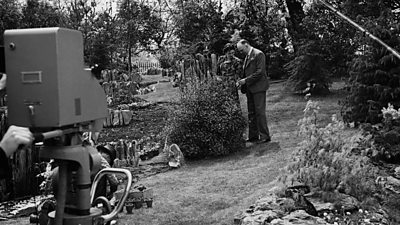 A TV camera filming a male and female inspecting some flowers at the Chelsea flower show